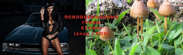 кристаллы Дмитриев