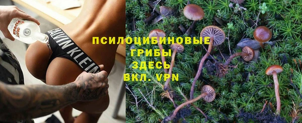 не бодяженный Дмитров