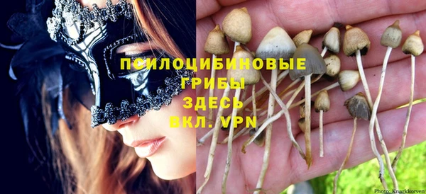 кристаллы Дмитриев