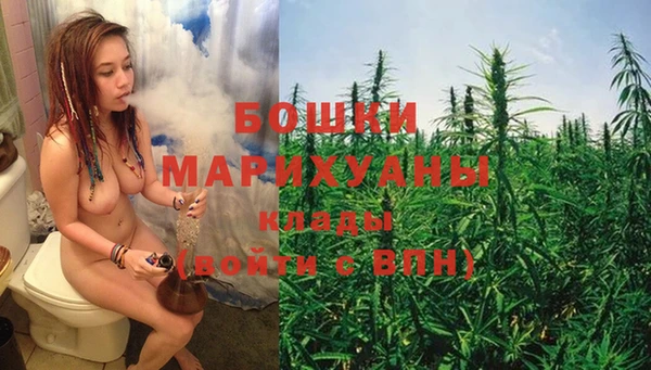 не бодяженный Дмитров