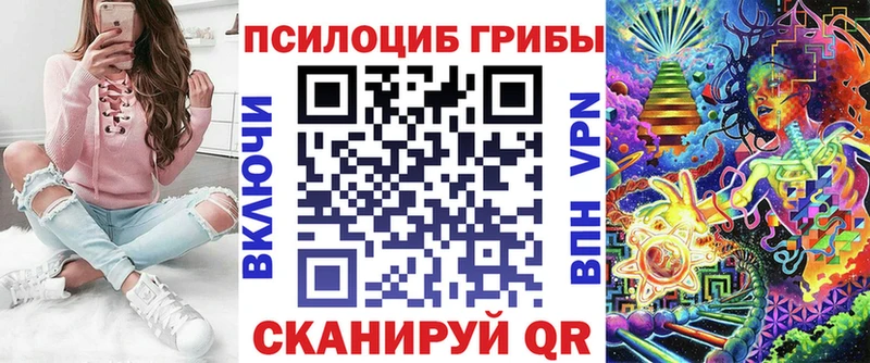 как найти наркотики  Избербаш  Псилоцибиновые грибы Cubensis 