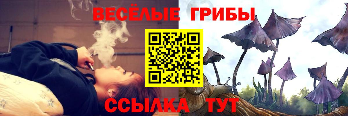 Галлюциногенные грибы мицелий  сколько стоит  Вход с VPN  Избербаш  Галлюциногенные грибы Magic Shrooms 