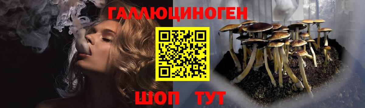 Галлюциногенные грибы прущие грибы Избербаш